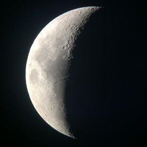 Meet your Posher, Yvette